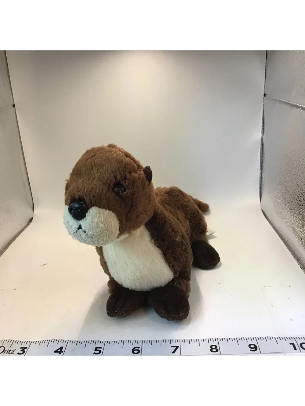 Aurora river otter
